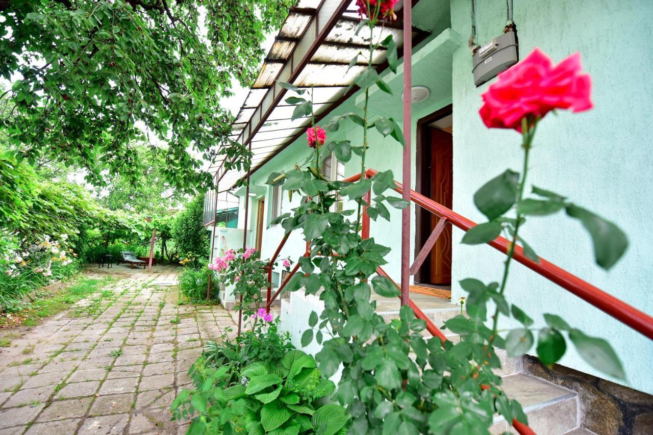 Flh - House Angelique Villa Sibiu Ngoại thất bức ảnh